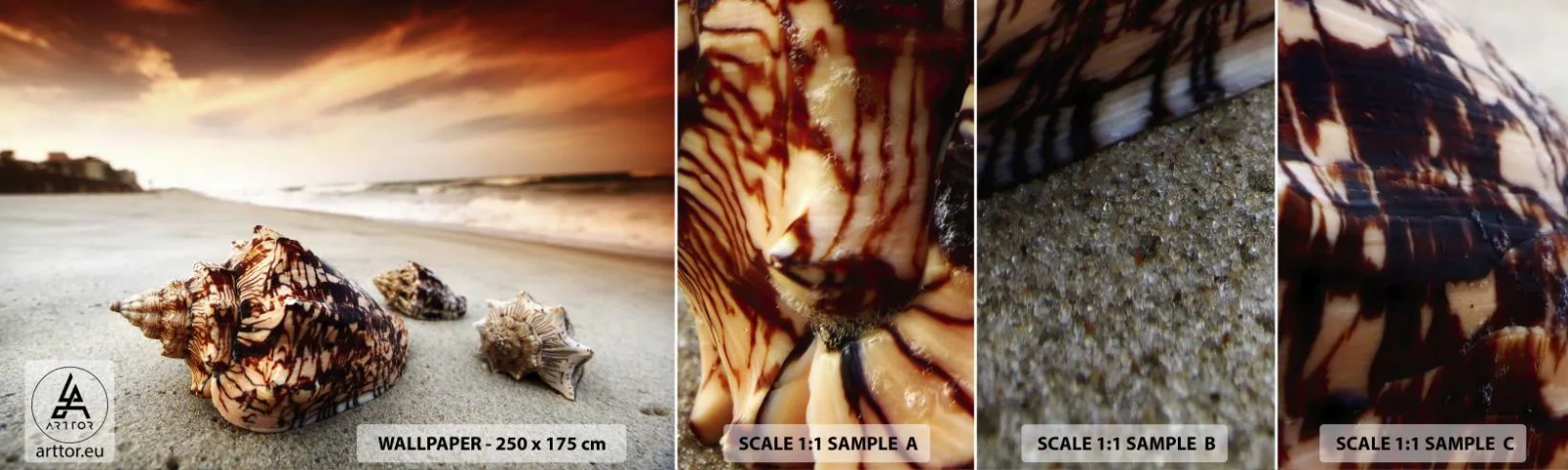 Fotótapéta Minta Standard Eco - A hullámok kitaszítottjai - Tájkép, Tenger, Tengeri kagyló - 100x30 cm