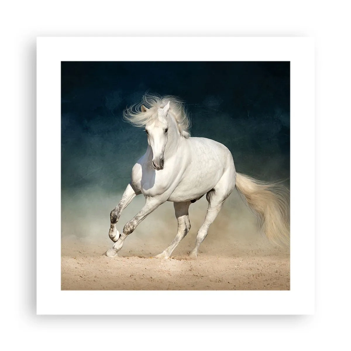 Poszter - A szabadság tiszta állapotban - 40x40 cm