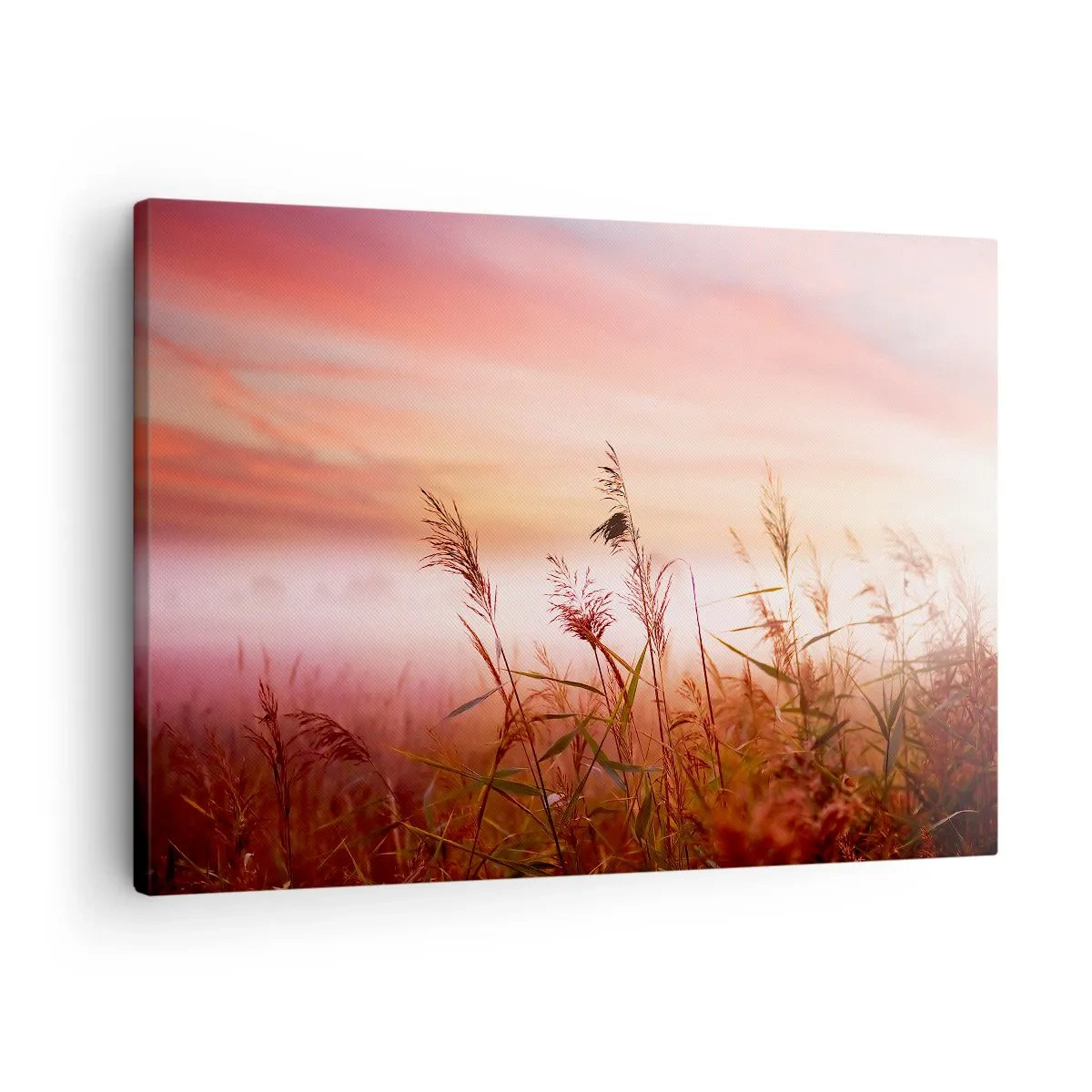Vászonkép - Egy füves mező egy festői naplemente hátterében - 70x50cm - Sárkányok, pitypangok, szél - Modern fali dekoráció nappalihoz és hálószobához ARTTOR
