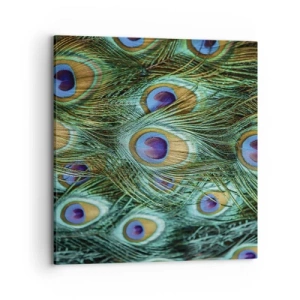 Vászonkép - Pávaszemű pillantás - 70x70 cm