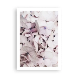 Poszter - A virágok áradatában - 50x70 cm