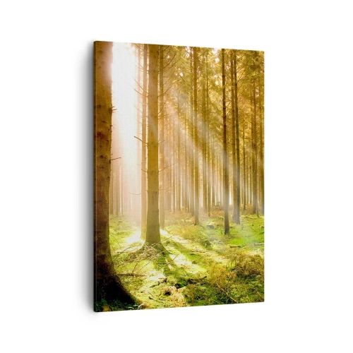 Vászonkép - Hamarosan megjelennek az álfok - 50x70 cm