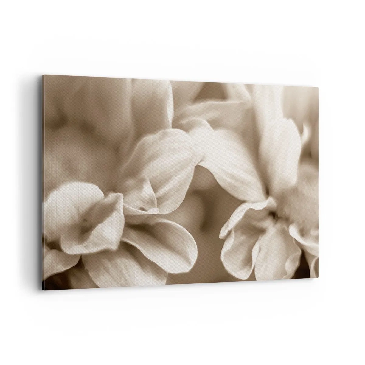 Vászonkép - Gyengéd, mint egy mosoly - 120x80 cm