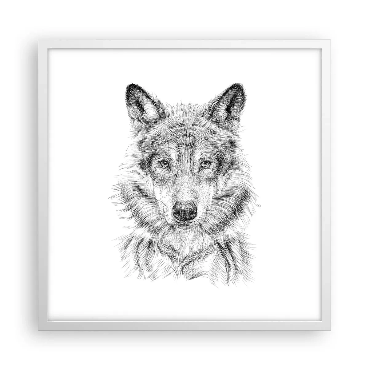 Poszter fekete keretben - Született vezető - 50x50 cm