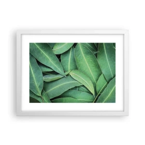 Poszter fekete keretben - Lédús és friss - 40x30 cm