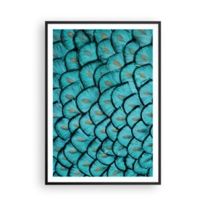 Poszter fehér keretben - A tollak nagy gálája - 70x100 cm