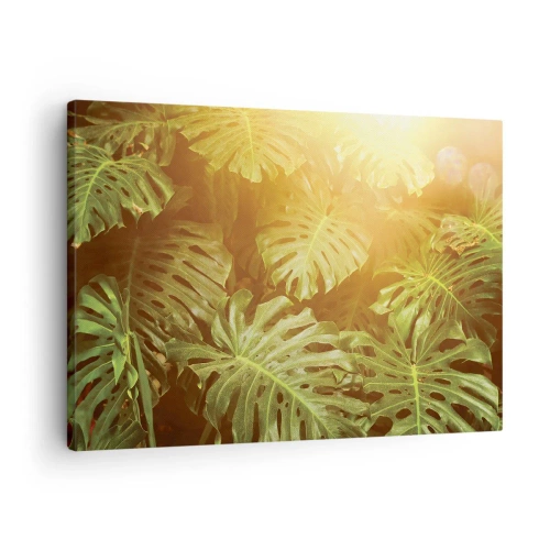 Vászonkép - Monstera levelek a napfényben, természetes háttér előtt - 70x50cm - A zöldbe belépni... - Modern fali dekoráció nappalihoz és hálószobához ARTTOR