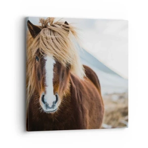 Vászonkép - Érzed a szabadságot? - 30x30 cm