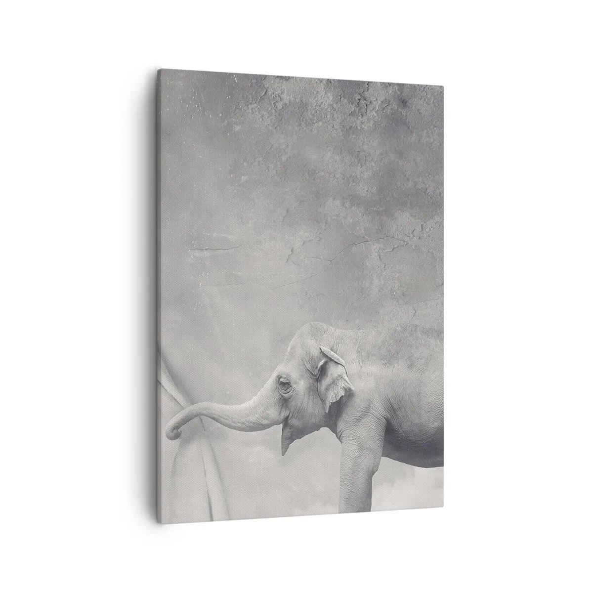 Vászonkép - Feltárni a titkot - 50x70 cm