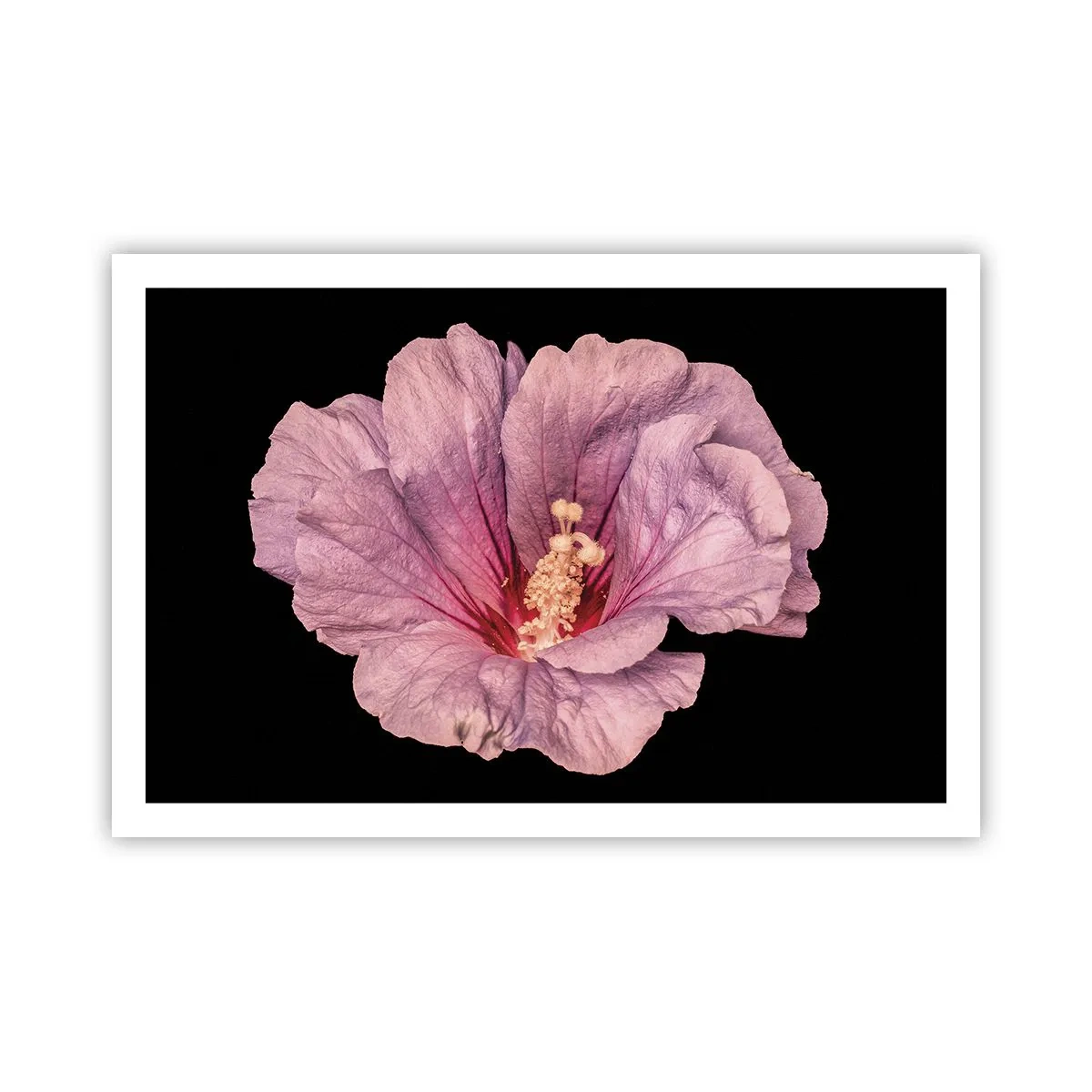 Poszter - Egyenesen a szív felé - 91x61 cm