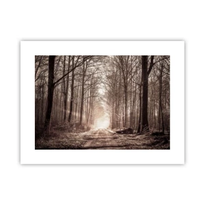 Poszter - Erdei katedrális - 40x30 cm