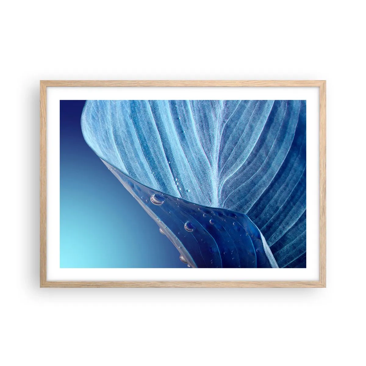 Poszter világos tölgy keretben - A kék rejtett cseppjei - 70x50 cm