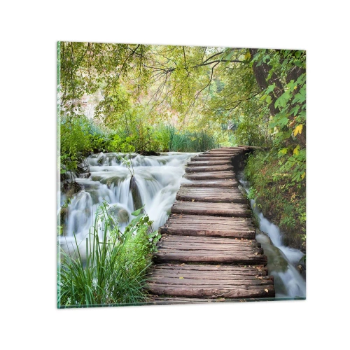 Üveg kép - A víz egyáltalán nem csendes - 70x70 cm