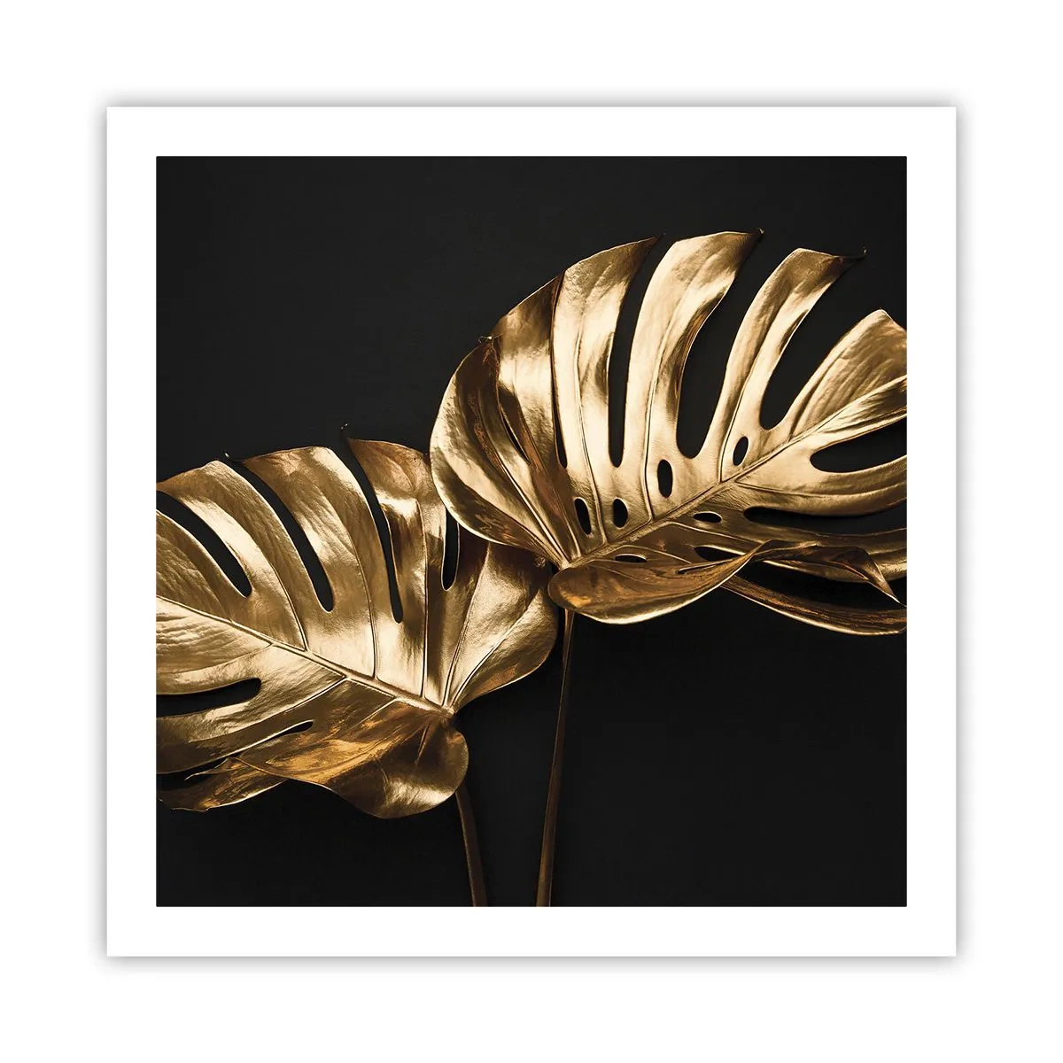 Poszter - A természet kincsei - 60x60 cm