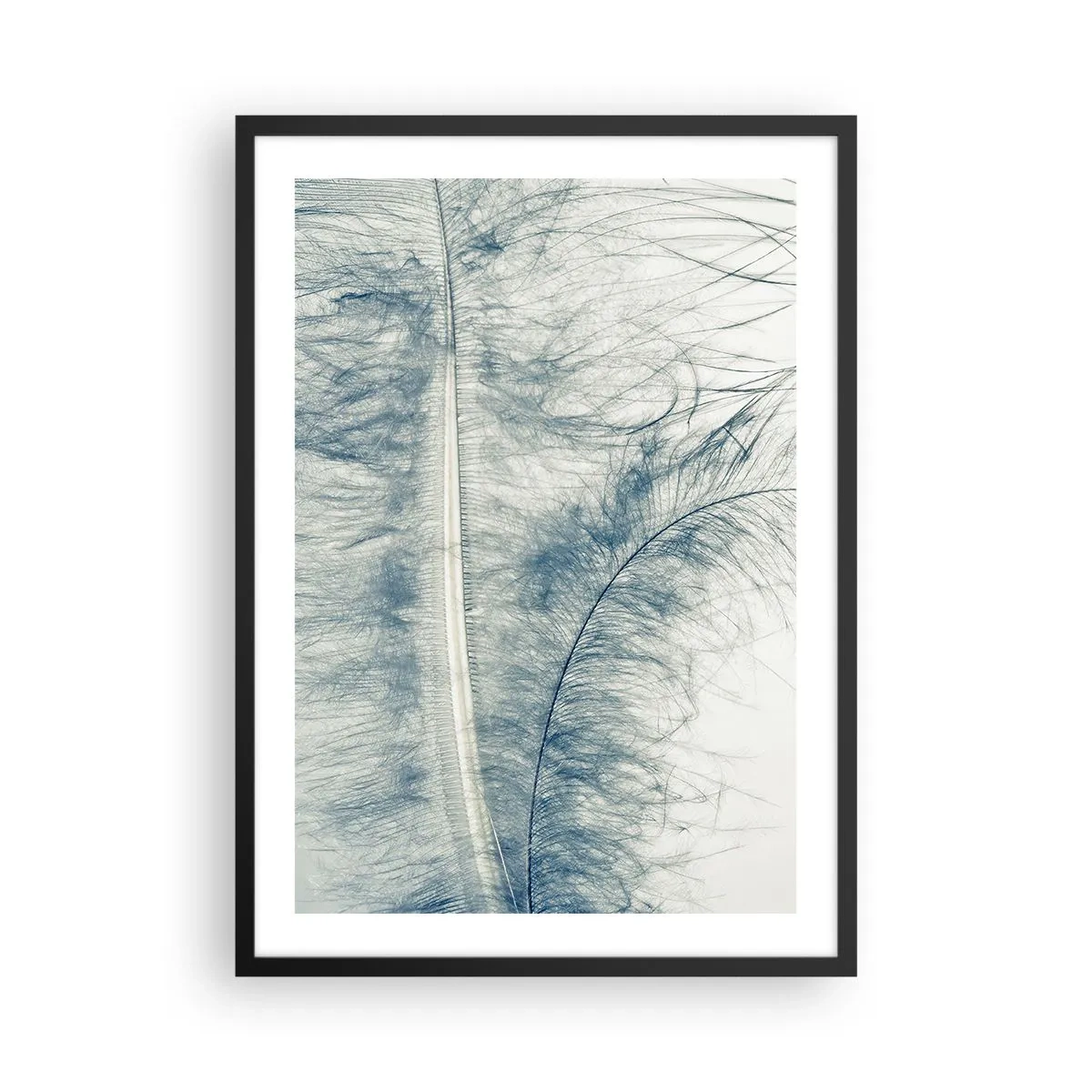 Poszter fehér keretben - Egy finom toll finom kék árnyalatokban - 50x70cm - A természet suttogása - Modern fali dekoráció nappalihoz és hálószobához ARTTOR