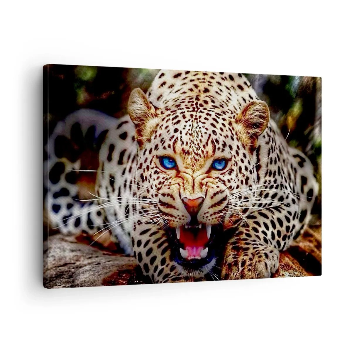 Vászonkép - Egy fenyegető leopárd intenzív kék szemekkel - 70x50cm - A szépség nem árt a haragnak - Modern fali dekoráció nappalihoz és hálószobához ARTTOR