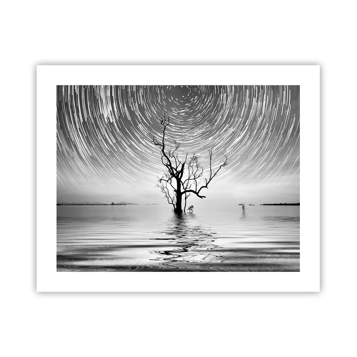 Poszter - A természet szimfóniája - 50x40 cm