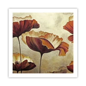 Poszter - Rét - 60x60 cm