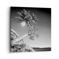 40x40 cm | Négyzetes