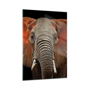 Üveg kép - Én vad vagyok, és te? - 50x70 cm