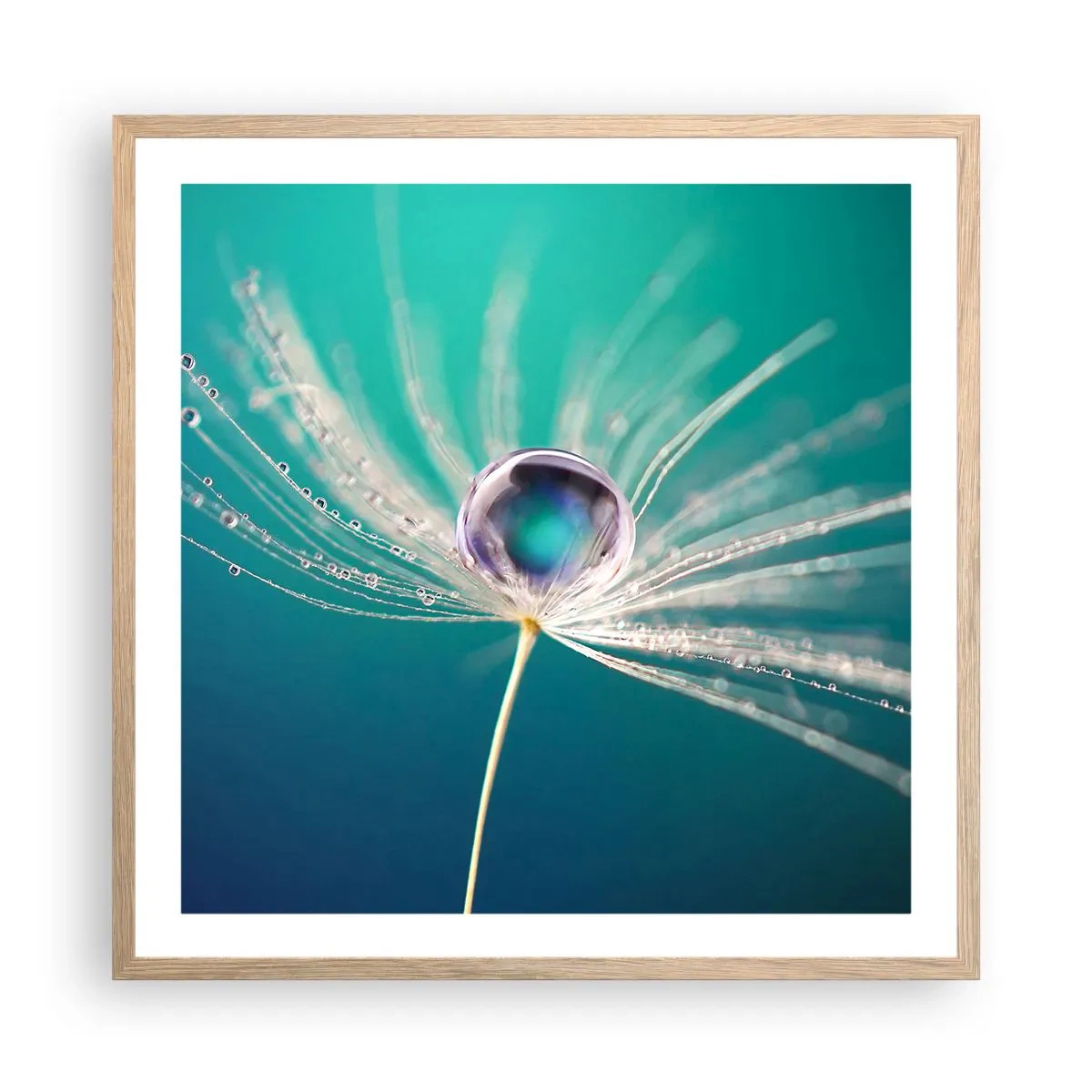 Poszter világos tölgy keretben - Misztikus pillanat - 60x60 cm