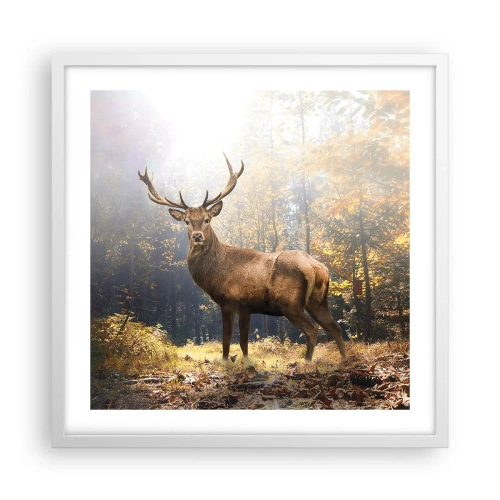 Poszter fekete keretben - Teljes fenségben - 50x50 cm