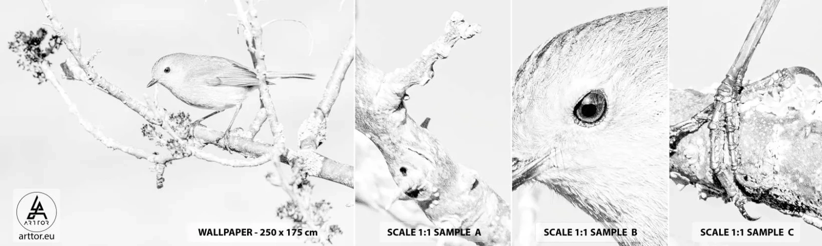 Fotótapéta Minta Standard Eco - Téli reggel - Fényes, Madár, Természet - 100x30 cm