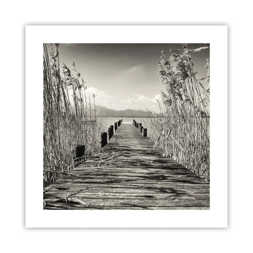 Poszter - A fű csendjében - 40x40 cm