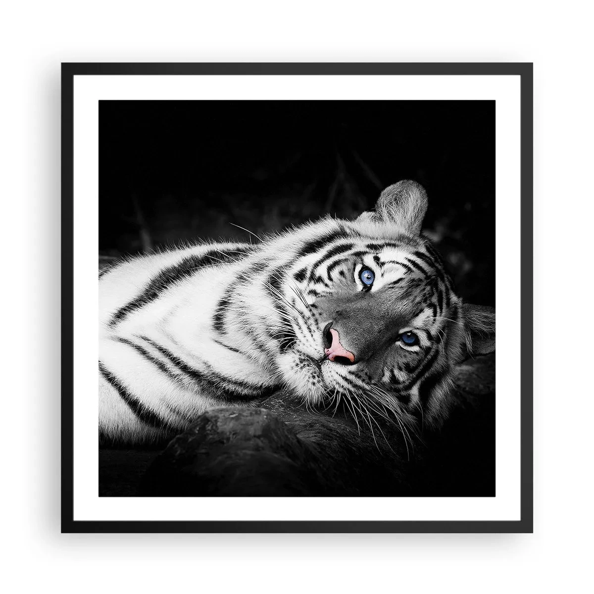 Poszter fehér keretben - Vadság és nyugalom - 60x60 cm