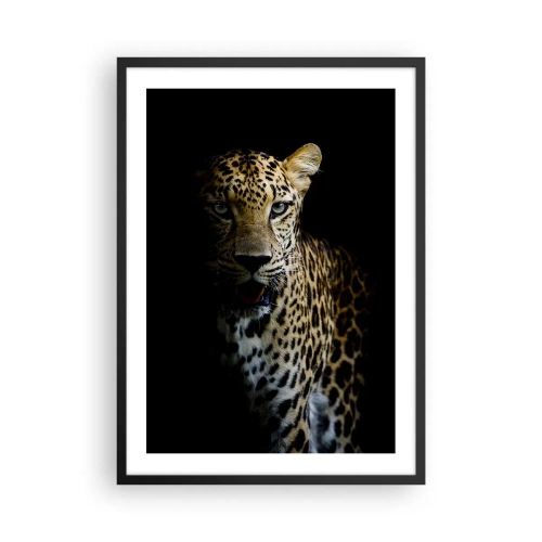 Poszter fehér keretben - Egy leopárd sötét háttér előtt, élénk szőrrészletekkel. - 50x70cm - Sötét szépség - Modern fali dekoráció nappalihoz és hálószobához ARTTOR