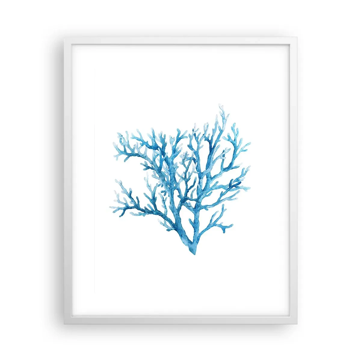 Poszter fekete keretben - Tengeri filigrán - 40x50 cm