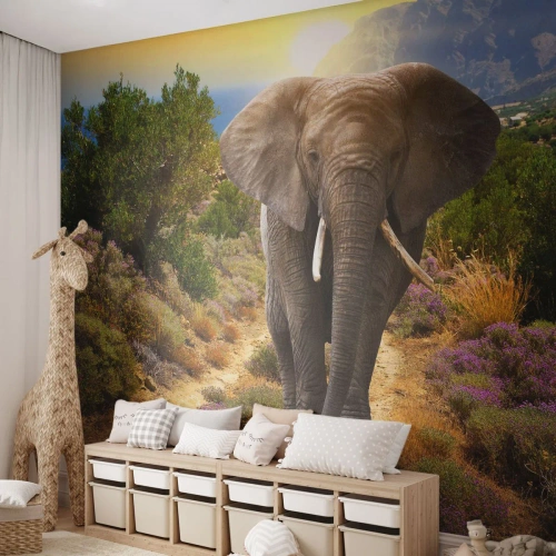 Fotótapéta Premium Sand - Így nézett ki Eden - Állatok, Elefánt, Szafari - 250x175 cm