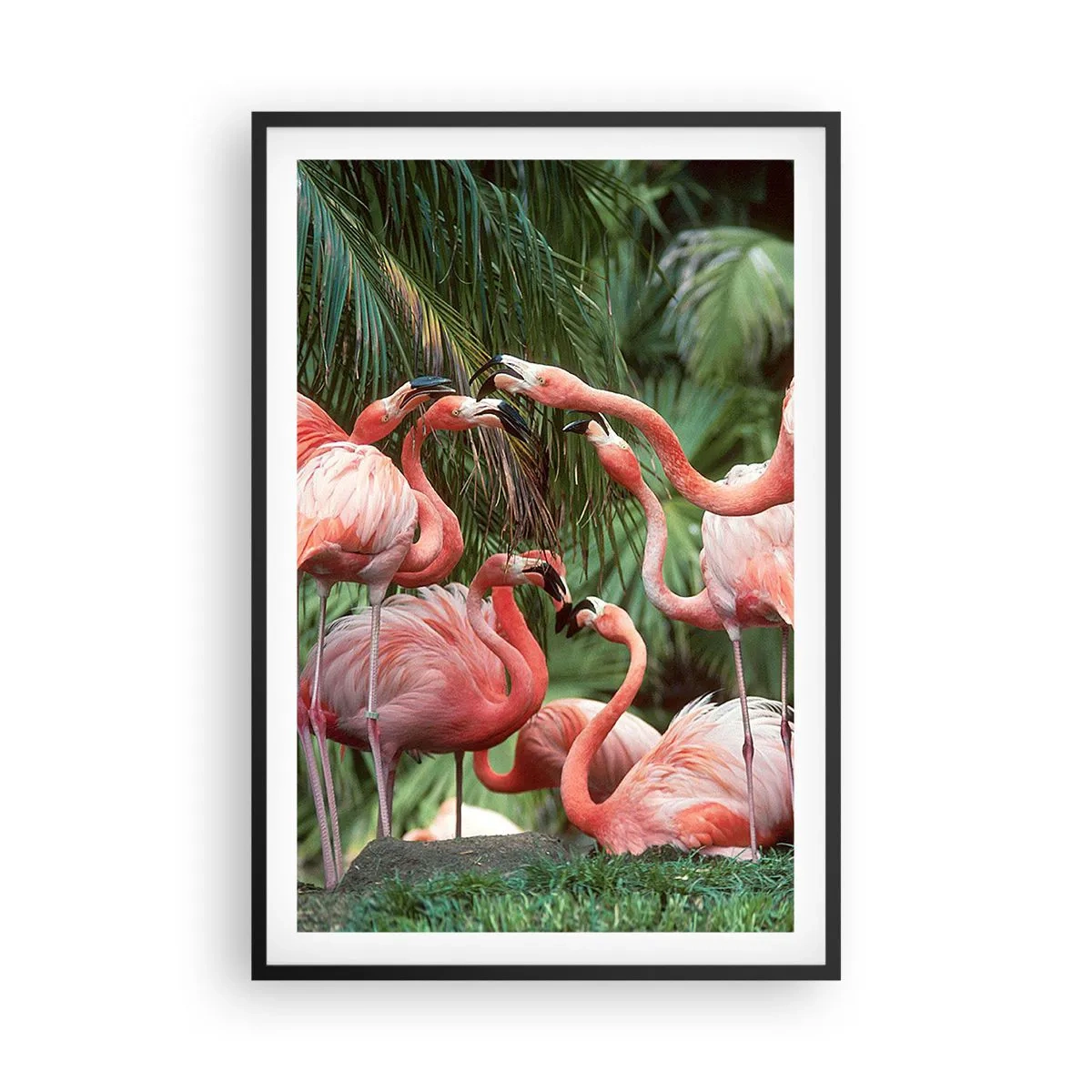 Poszter fehér keretben - Délutáni pletyka - 61x91 cm