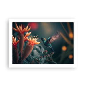 Poszter - Egy igazán színes élet - 70x50 cm