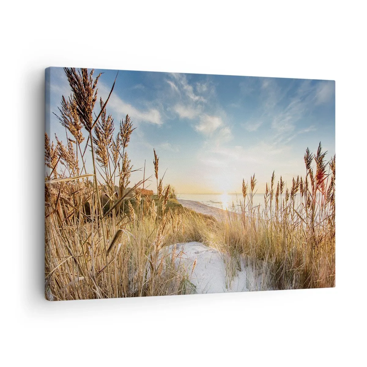 Vászonkép - Festői tengerpart füves területen, lenyugvó nappal - 70x50cm - Északi strand - Modern fali dekoráció nappalihoz és hálószobához ARTTOR