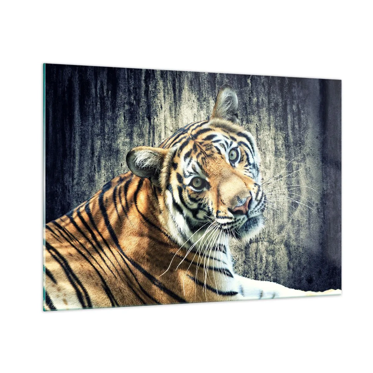 Üveg kép - Portré a fénysugárban - 100x70 cm