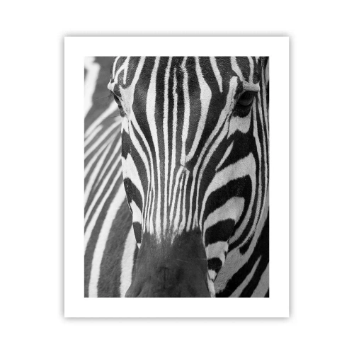 Poszter - A világ fekete-fehér - 40x50 cm