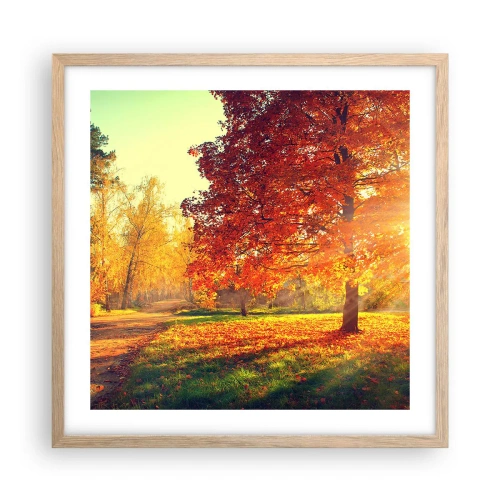 Poszter világos tölgy keretben - A vörös gyönyörű - 50x50 cm