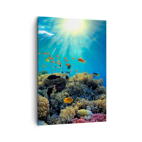 Vászonkép - Víz alatti kincsek - 50x70 cm