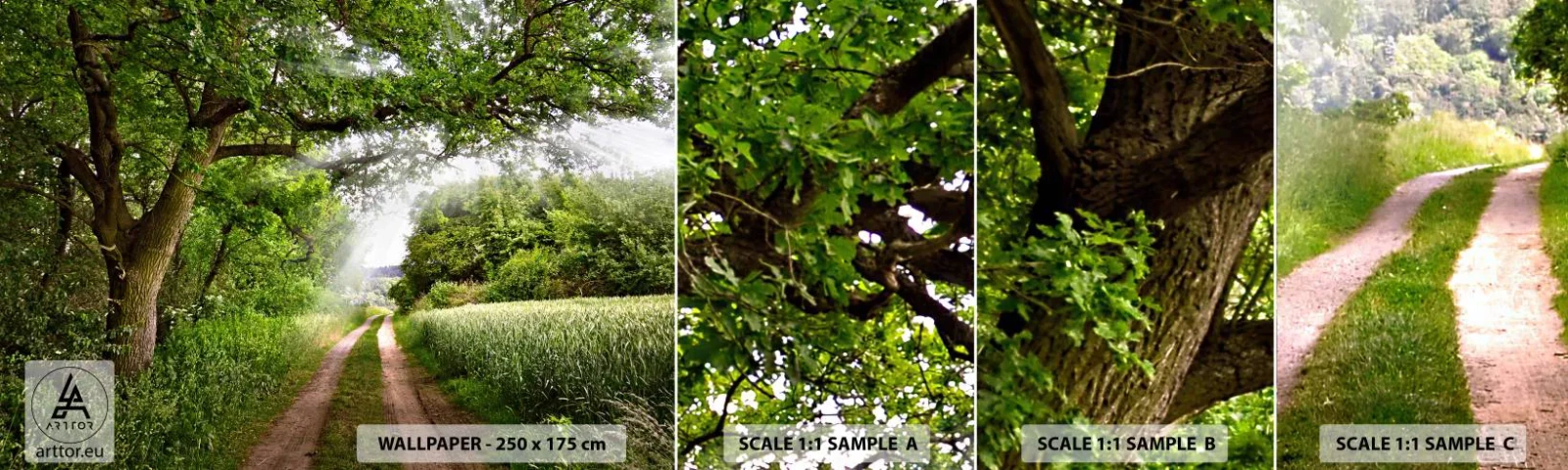 Fotótapéta Minta Öntapadós Deluxe Sticker - Et in Arcadia ego - Tájkép, Földút, Természet - 100x30 cm