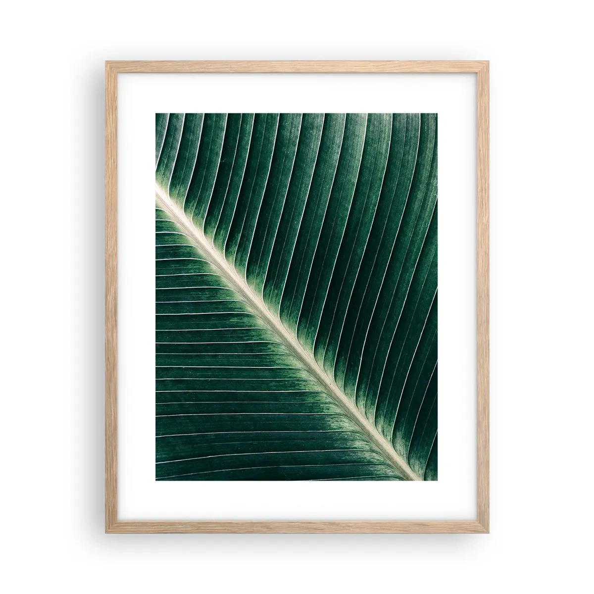 Poszter világos tölgy keretben - A természet ritmusa - 40x50 cm