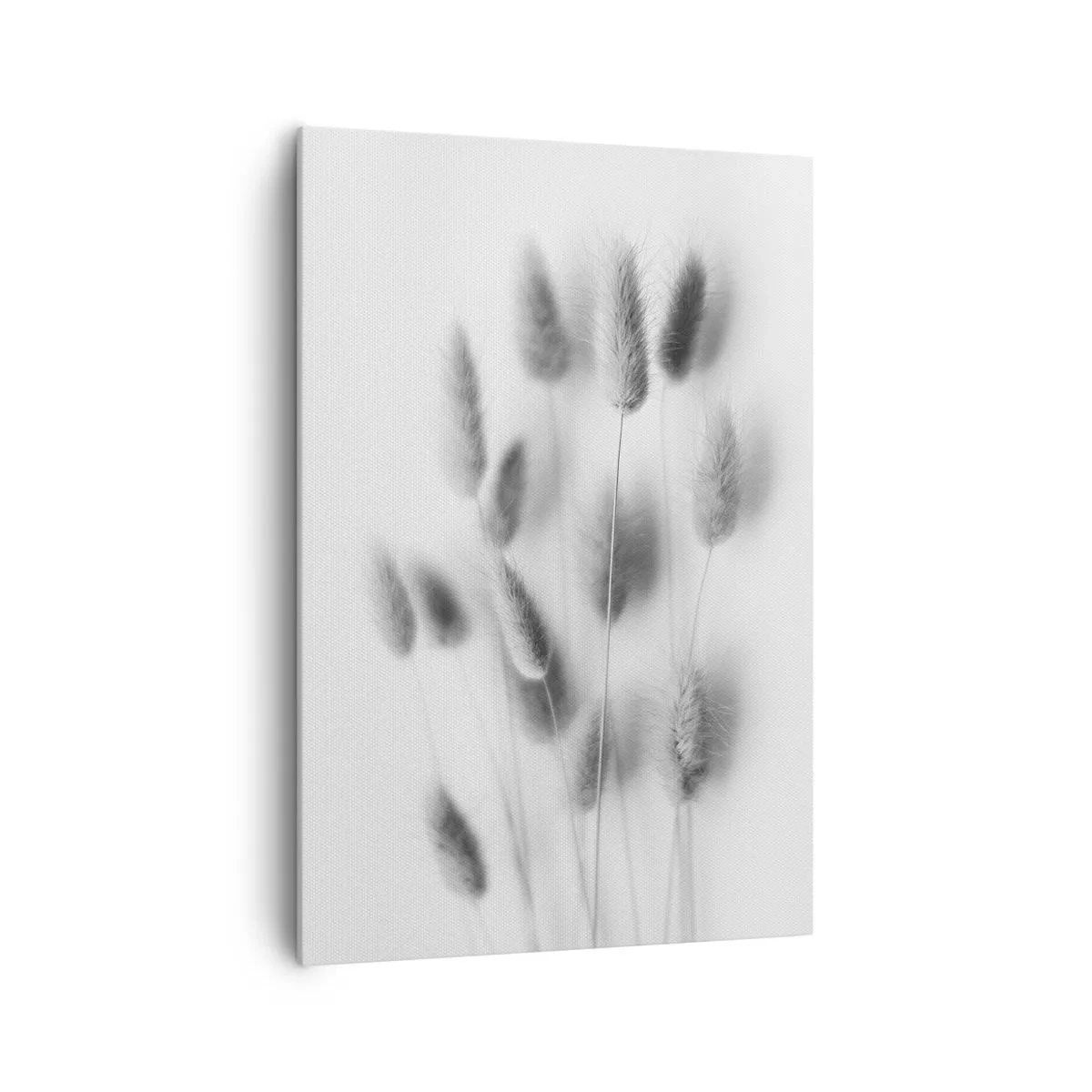 Vászonkép - A bolyhos fű - 70x100 cm