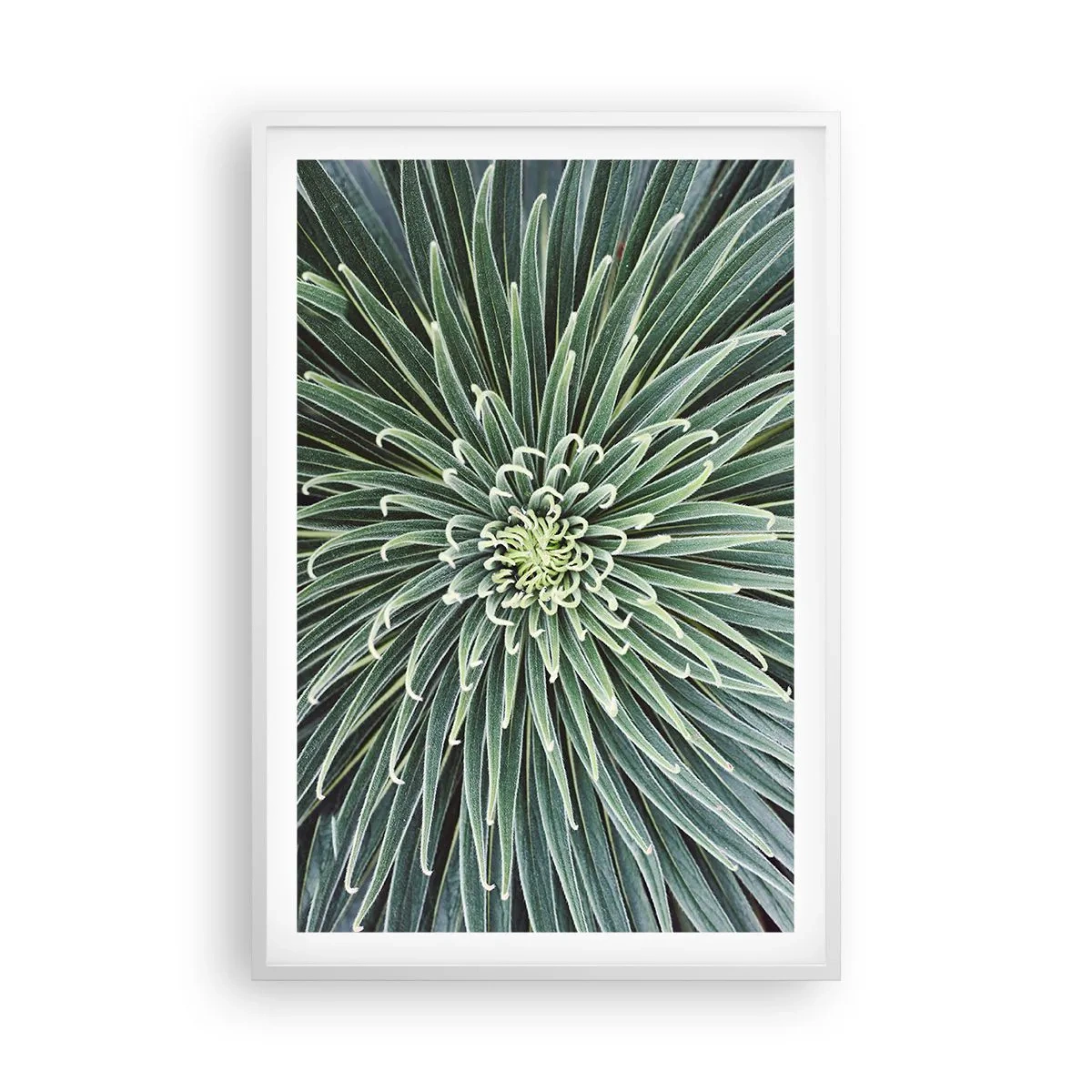 Poszter fekete keretben - Csillag születik - 61x91 cm