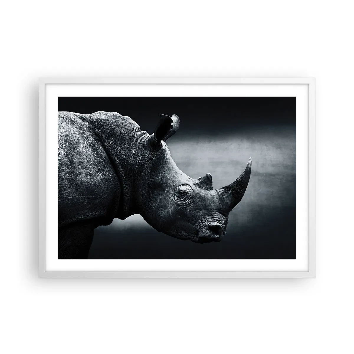 Poszter fekete keretben - Jobb profil - 70x50 cm