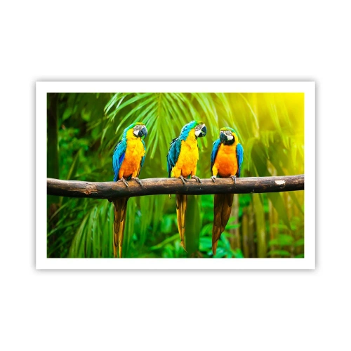 Poszter - És hallottad, hogy ő…? - 91x61 cm