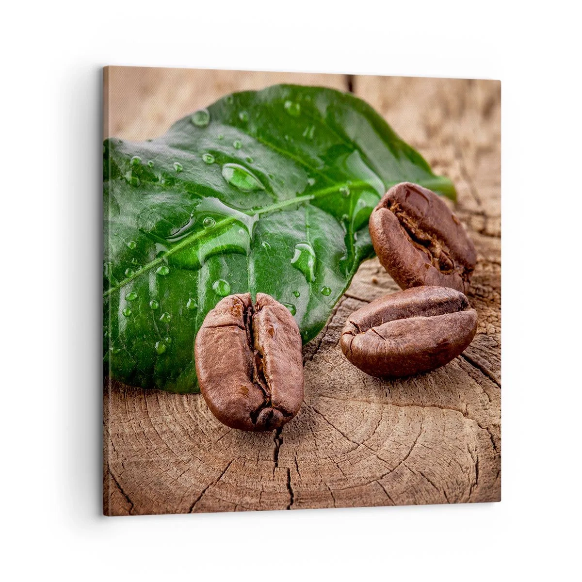 Vászonkép - A legigazibb és fekete - 60x60 cm