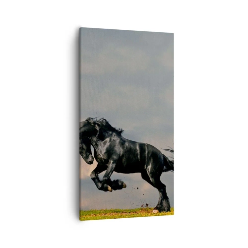 Vászonkép - Gyönyörű és szabad - 55x100 cm