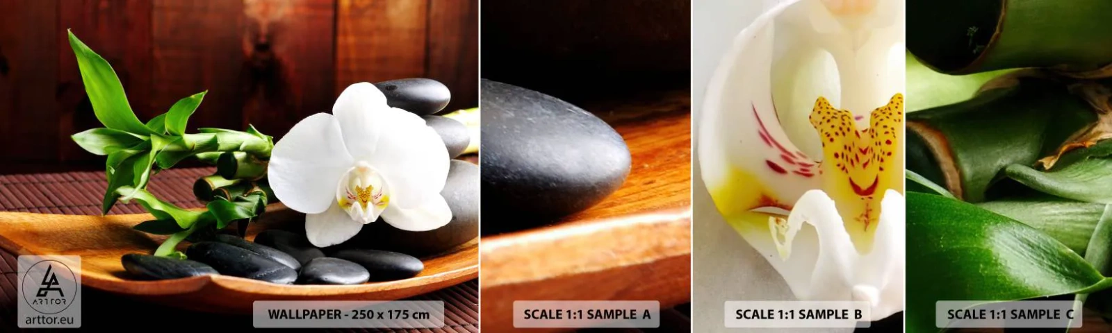 Fotótapéta Minta Öntapadós Deluxe Sticker - Engedd át magad a természet érintésének - Virágok, Orchidea, Orchidea - 100x30 cm