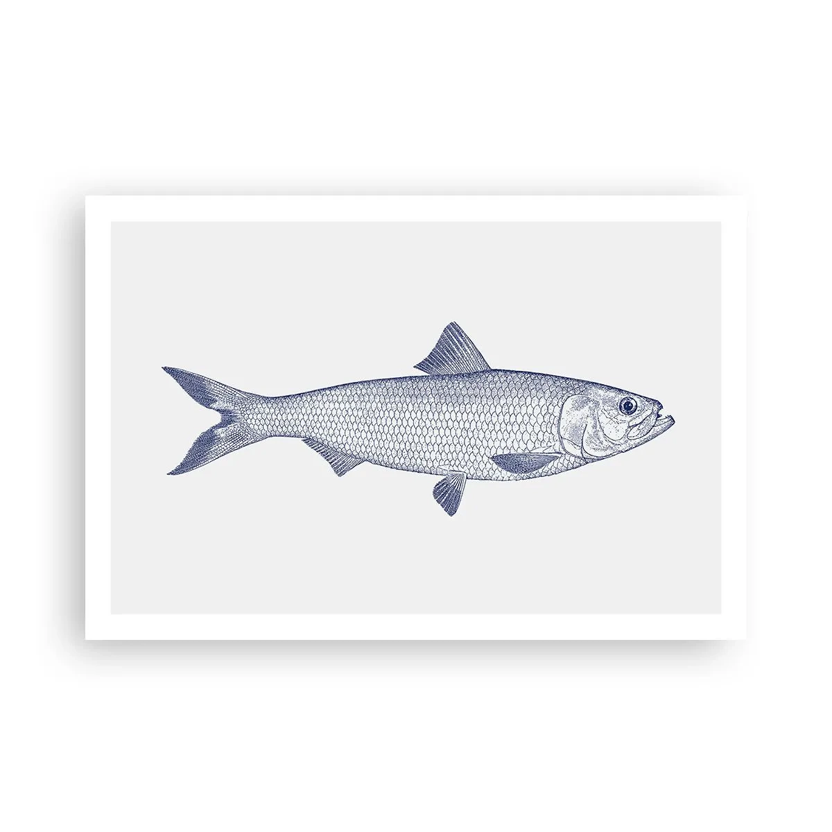 Poszter - Üdvözlet az északi tengerektől - 91x61 cm