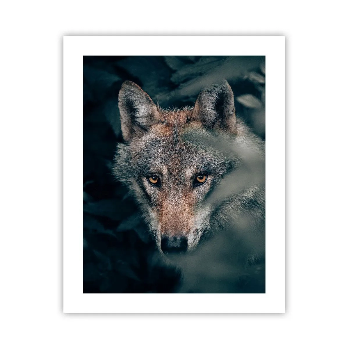 Poszter - Vadász - 40x50 cm